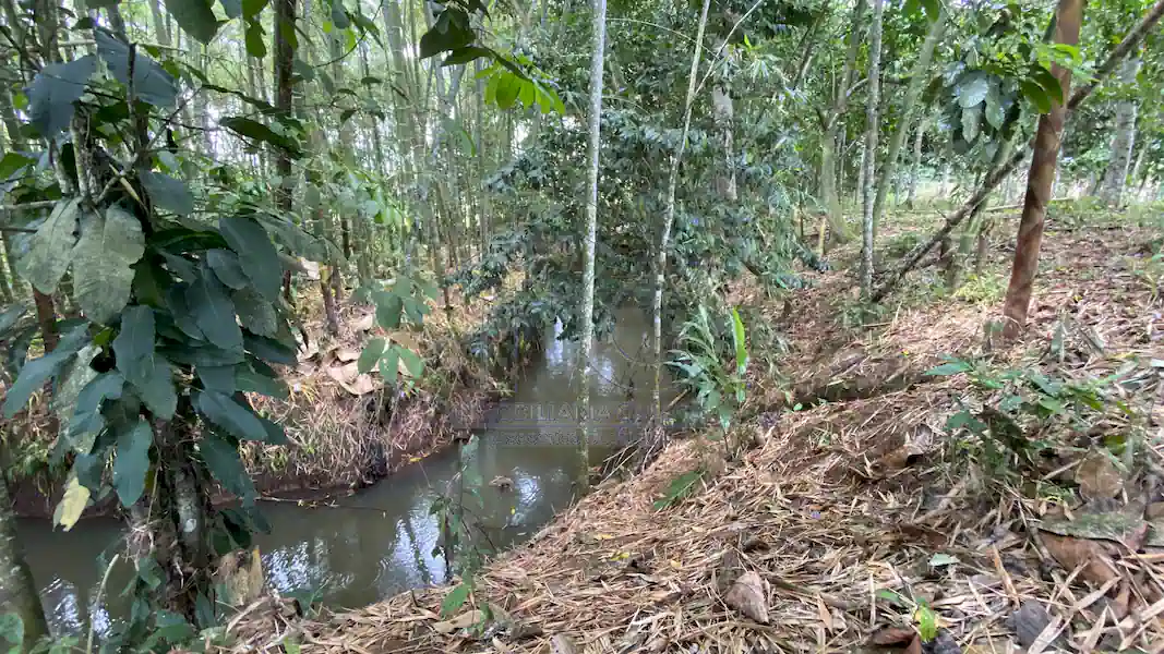 Finca La Esperanza